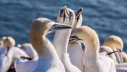 开云体育官网下载安装-李明爆发：28分8篮板5助攻，展现全能表现！，李明什么水平