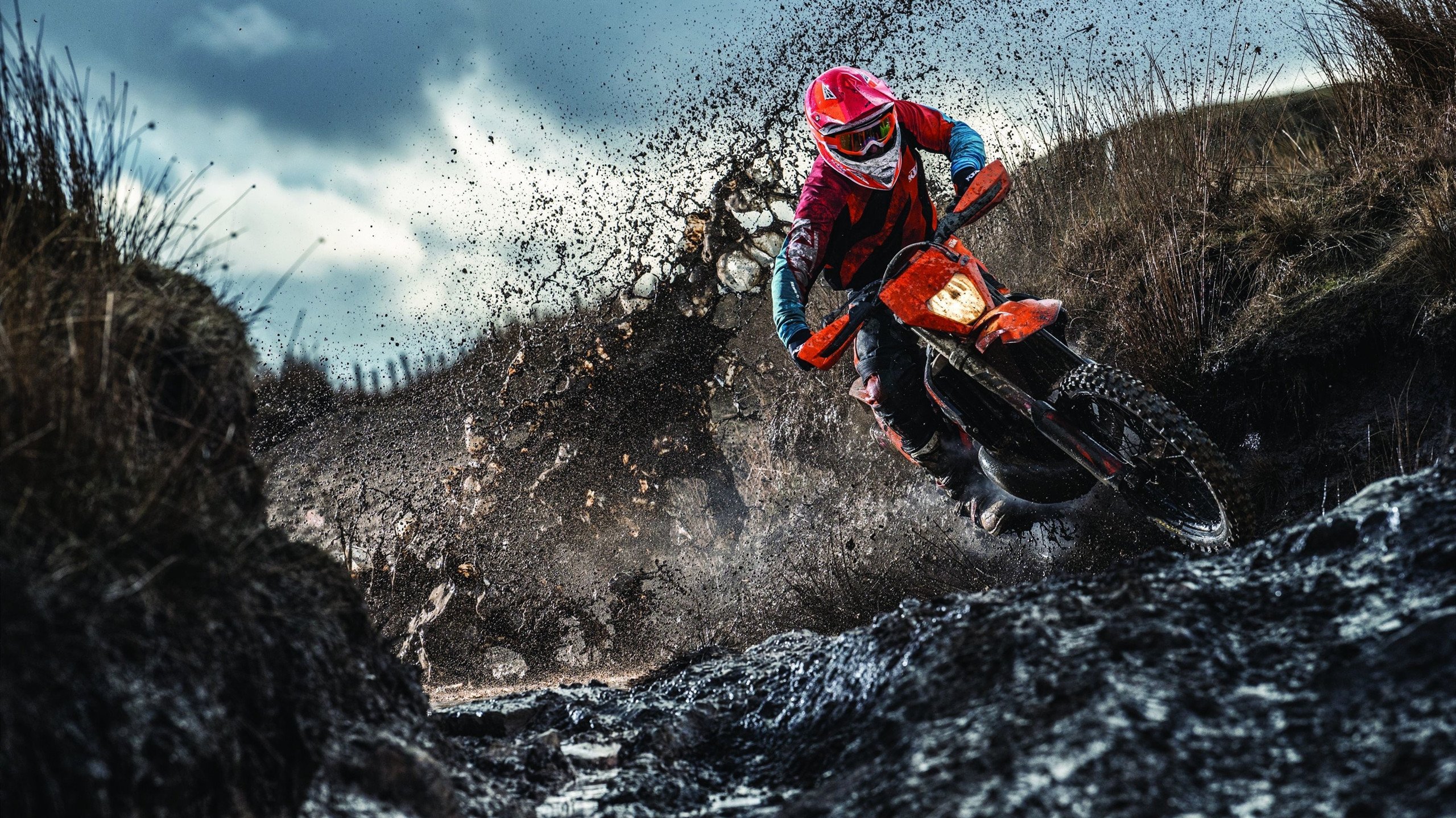 WRC冠军争夺战：车队拼搏只为夺冠，wrc2019冠军车队