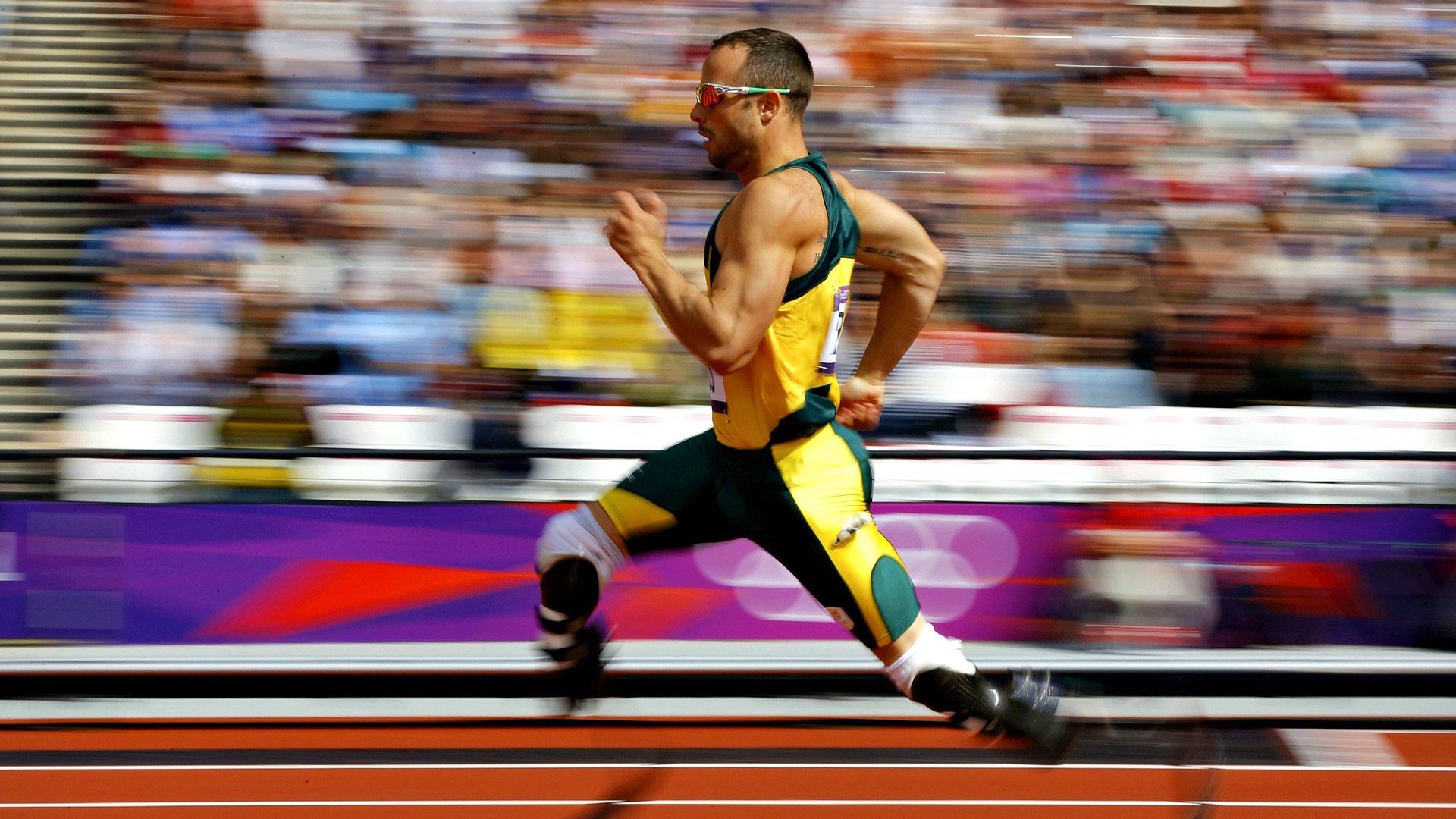 kaiyun 开云体育-墨西哥骑手卡洛斯·汉克在巴黎奥运会后成为马术协会主席，推动马术运动发展。